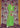 Lime Green Lace Crochet Maxi Dress